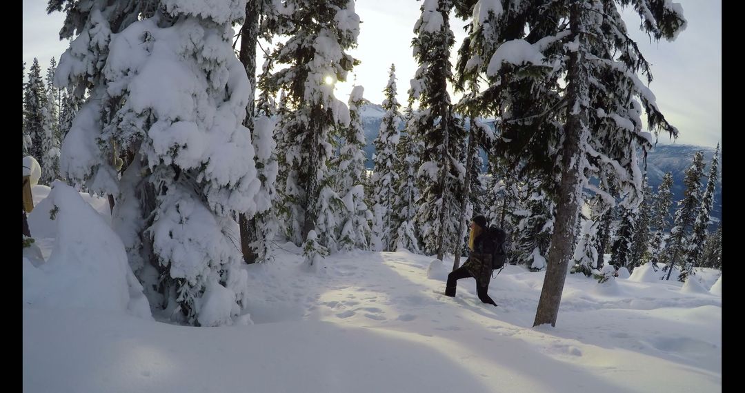 Lone Hiker Traversing Snowy Forest Path in Winter Landscape - Free Images, Stock Photos and Pictures on Pikwizard.com