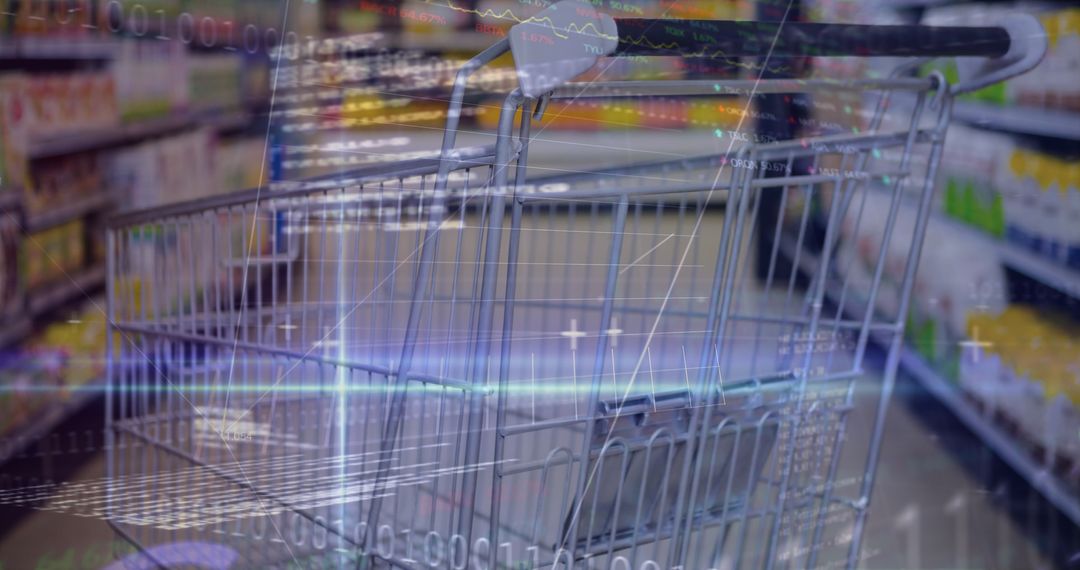 Digital Interface Merging Shopping with Financial Data