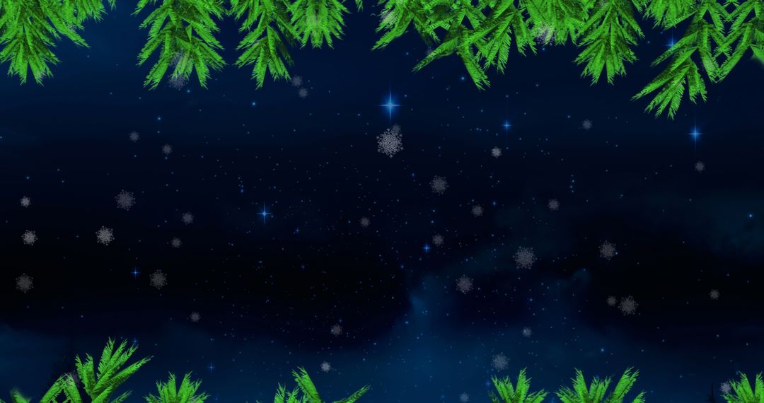 Christmas Tree Branches Framing Starry Night Sky with Falling Snow