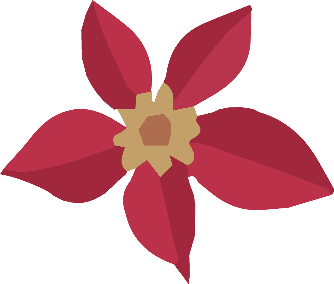 Vibrant Red Five-Petal Flower on Transparent Background