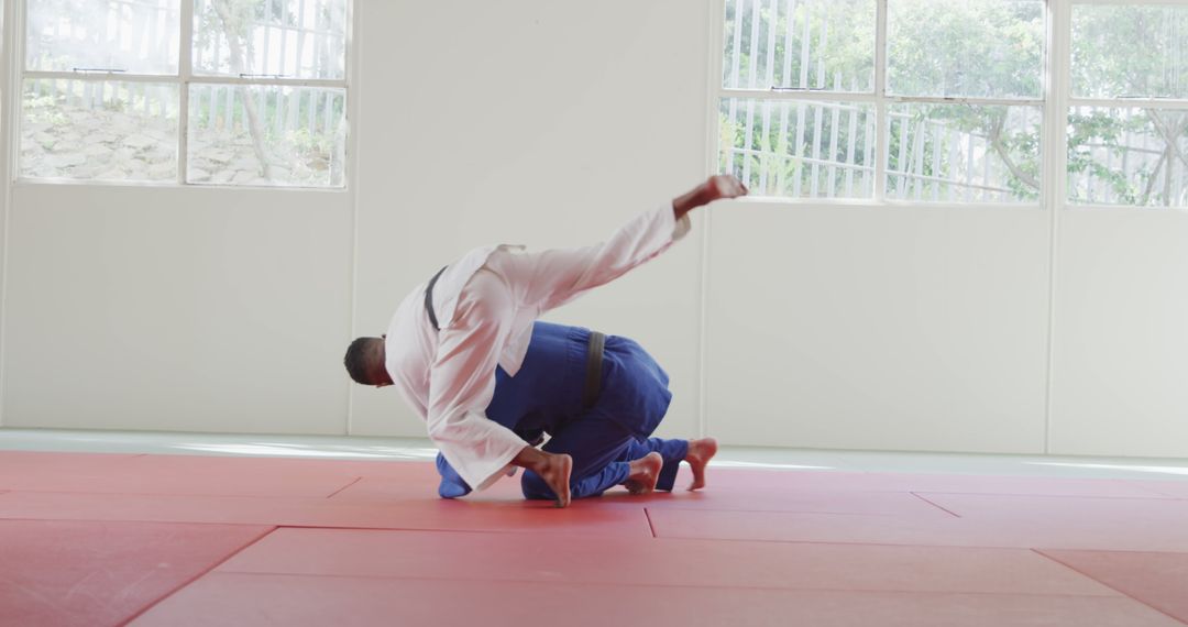 Judo Fighters Practicing Throw Technique on Tatami Mat - Free Images, Stock Photos and Pictures on Pikwizard.com