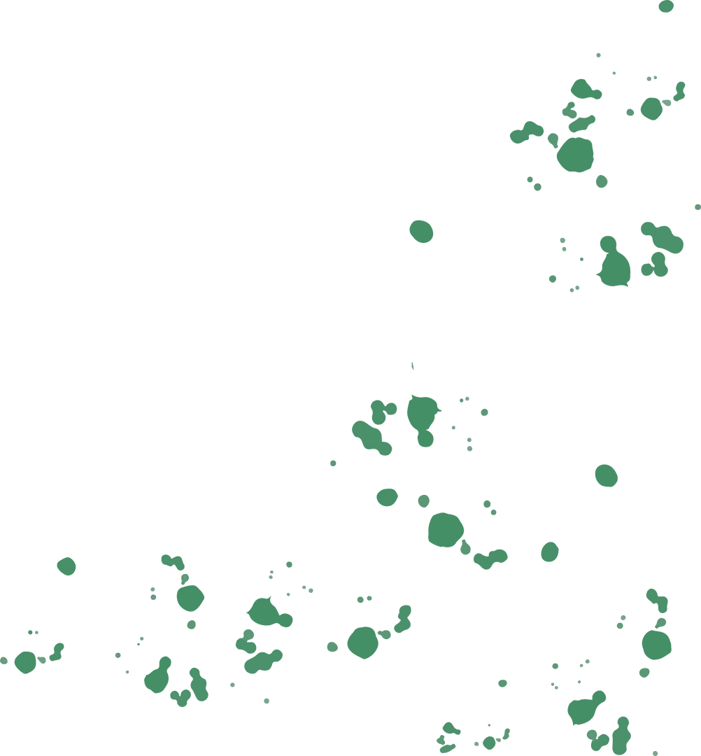 Green Paint Splatters on Transparent Background Hues Merger