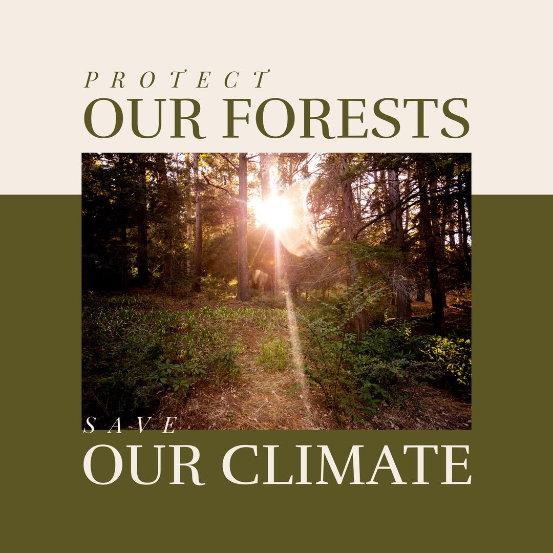 Sunlit Forest Promoting Eco-Consciousness and Climate Protection