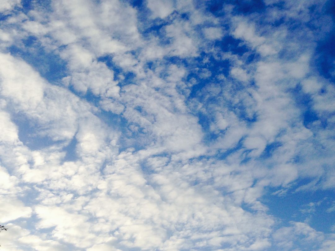 Low angle view of clouds in sky - Free Images, Stock Photos and Pictures on Pikwizard.com