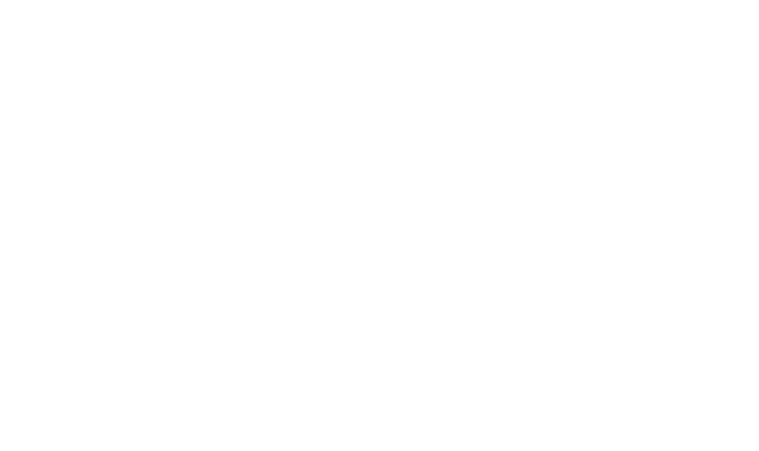 Male Fencers Silhouette on Transparent Background Fencing Duels - Download Free Stock Images Pikwizard.com