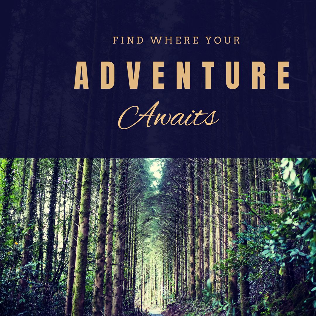 Inspirational Forest Path Promoting Adventure and Discovery