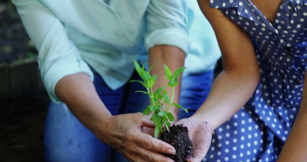 Two people engage in sustainable gardening by nurturing a young plant with care. - Free Images, Stock Photos and Pictures on Pikwizard.com