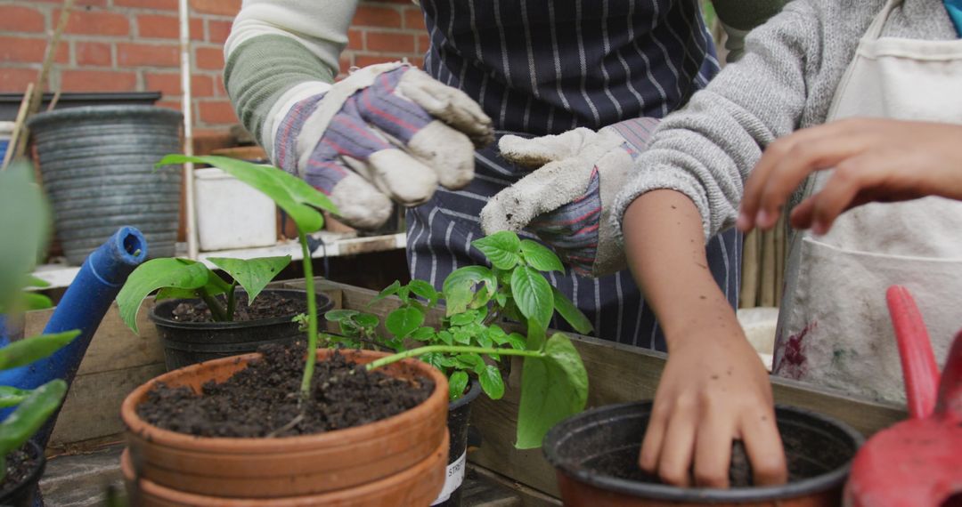 Close-up of adults and kids planting herbs in garden - Free Images, Stock Photos and Pictures on Pikwizard.com