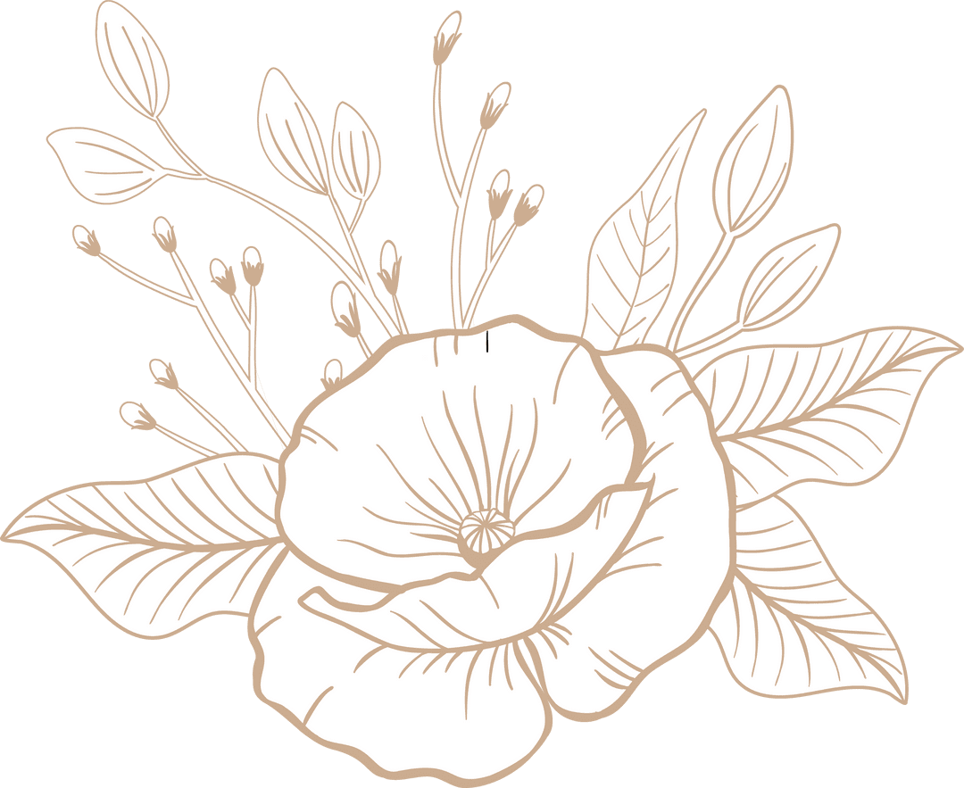 Botanical Flower Lineart on Transparent Background