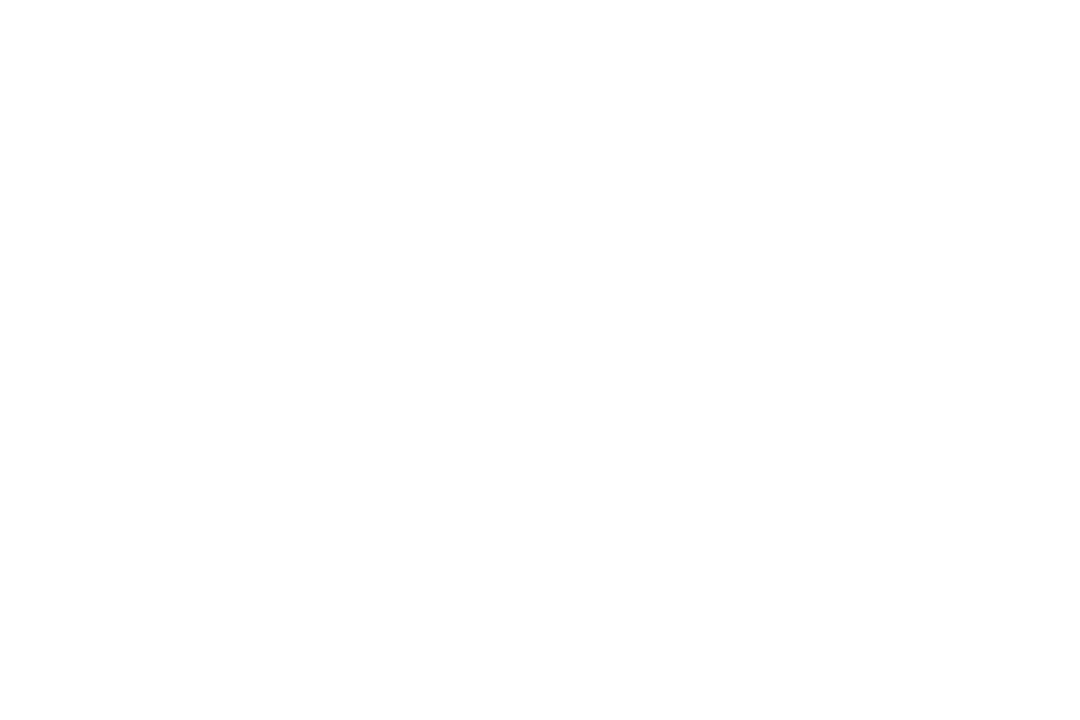 Digital Hands with Lithuian Spirit Text on Transparent