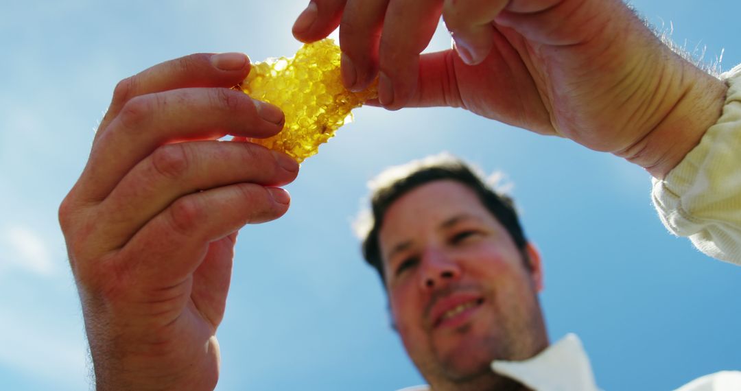 Beekeeper Examining Honeycomb Outdoors on Sunny Day - Free Images, Stock Photos and Pictures on Pikwizard.com