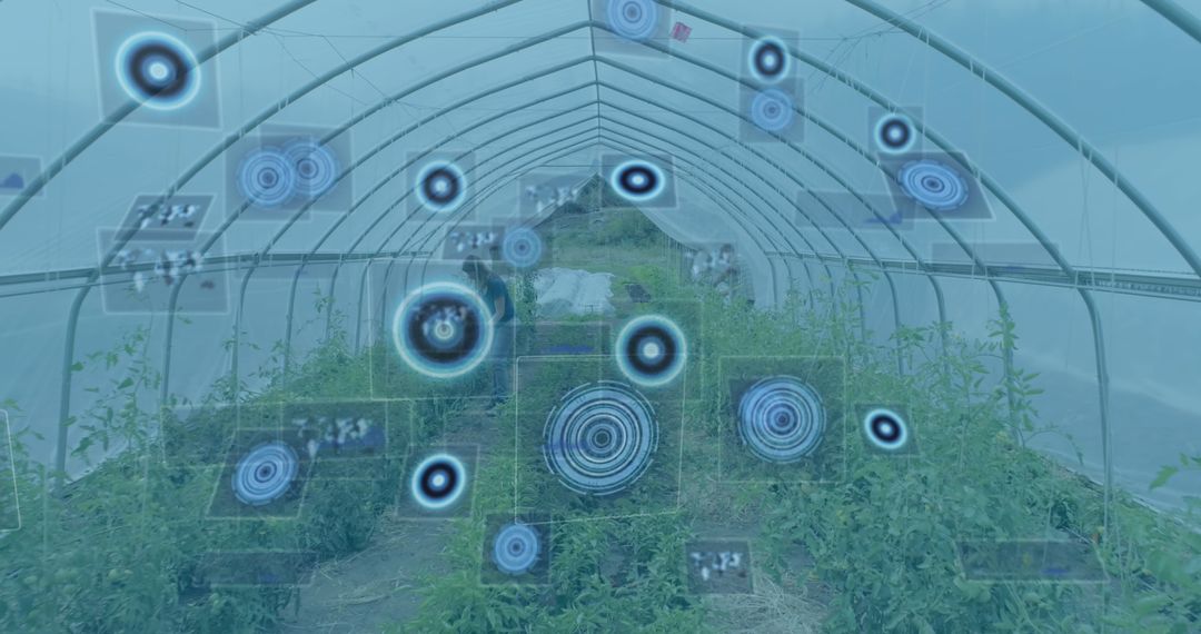 Digital Scanning Technology in Modern Greenhouse