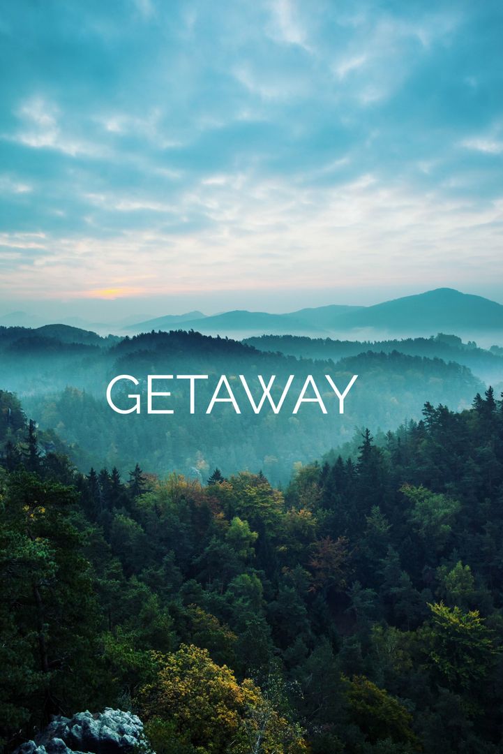 Misty Morning Forest Inspires Tranquil Escape Adventure