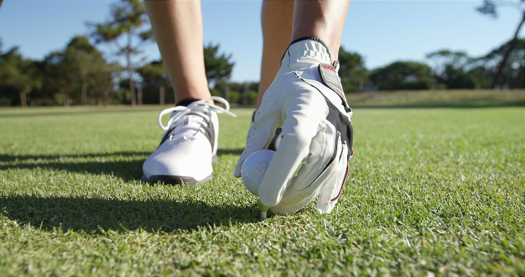 Golfer Placing Ball on Tee in Sunny Golf Course Scenery - Free Images, Stock Photos and Pictures on Pikwizard.com