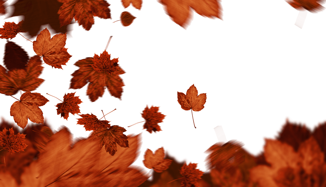 Autumn Leaves Falling on Transparent Background