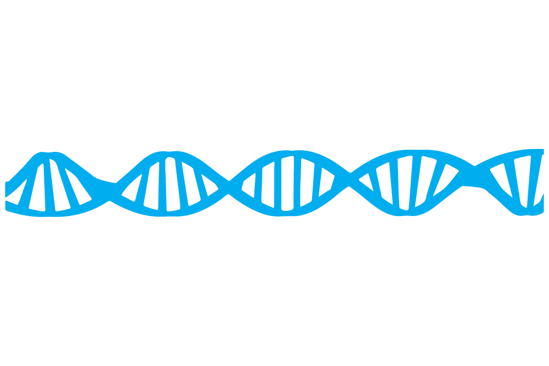 Digital Blue DNA Strand on Transparent Background