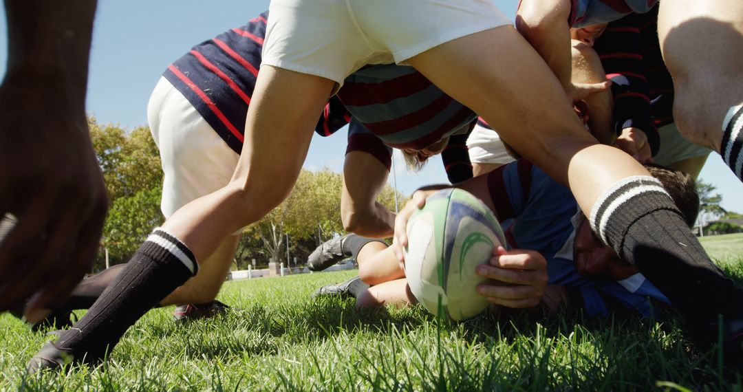 Rugby Players Competing During Intense Match on Sunny Day - Free Images, Stock Photos and Pictures on Pikwizard.com