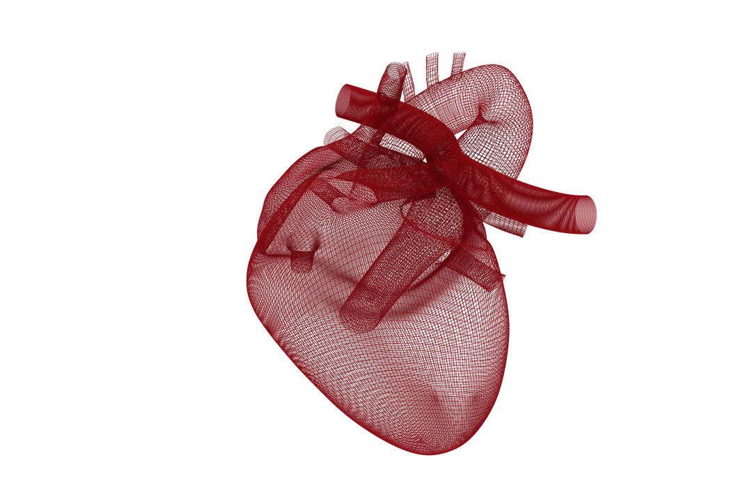 Digital Red Transparent 3D Human Heart Model Isometric