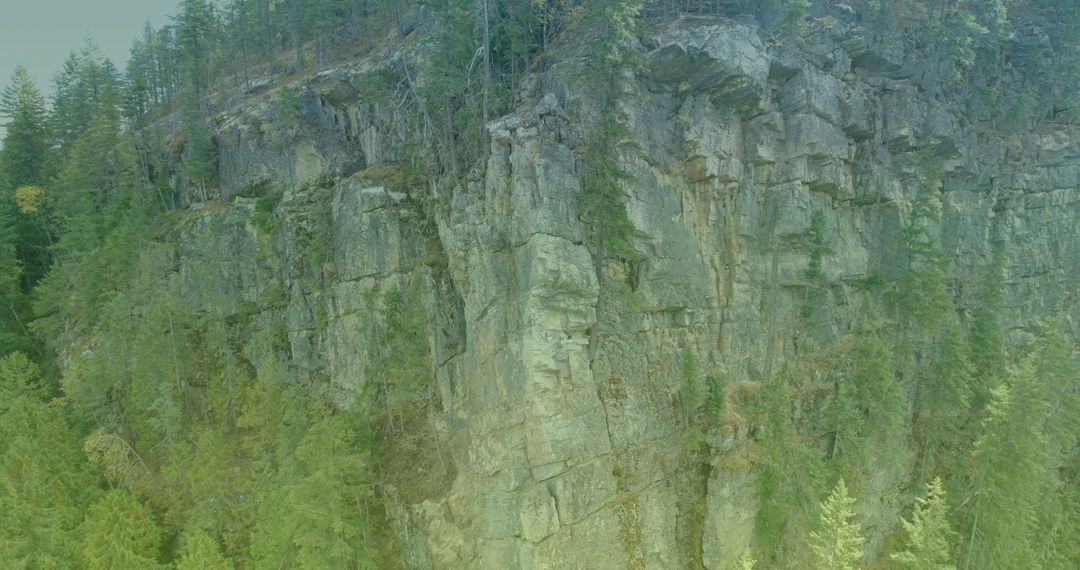 Rocky Mountain Cliff with Verdant Greenery on Sunny Day