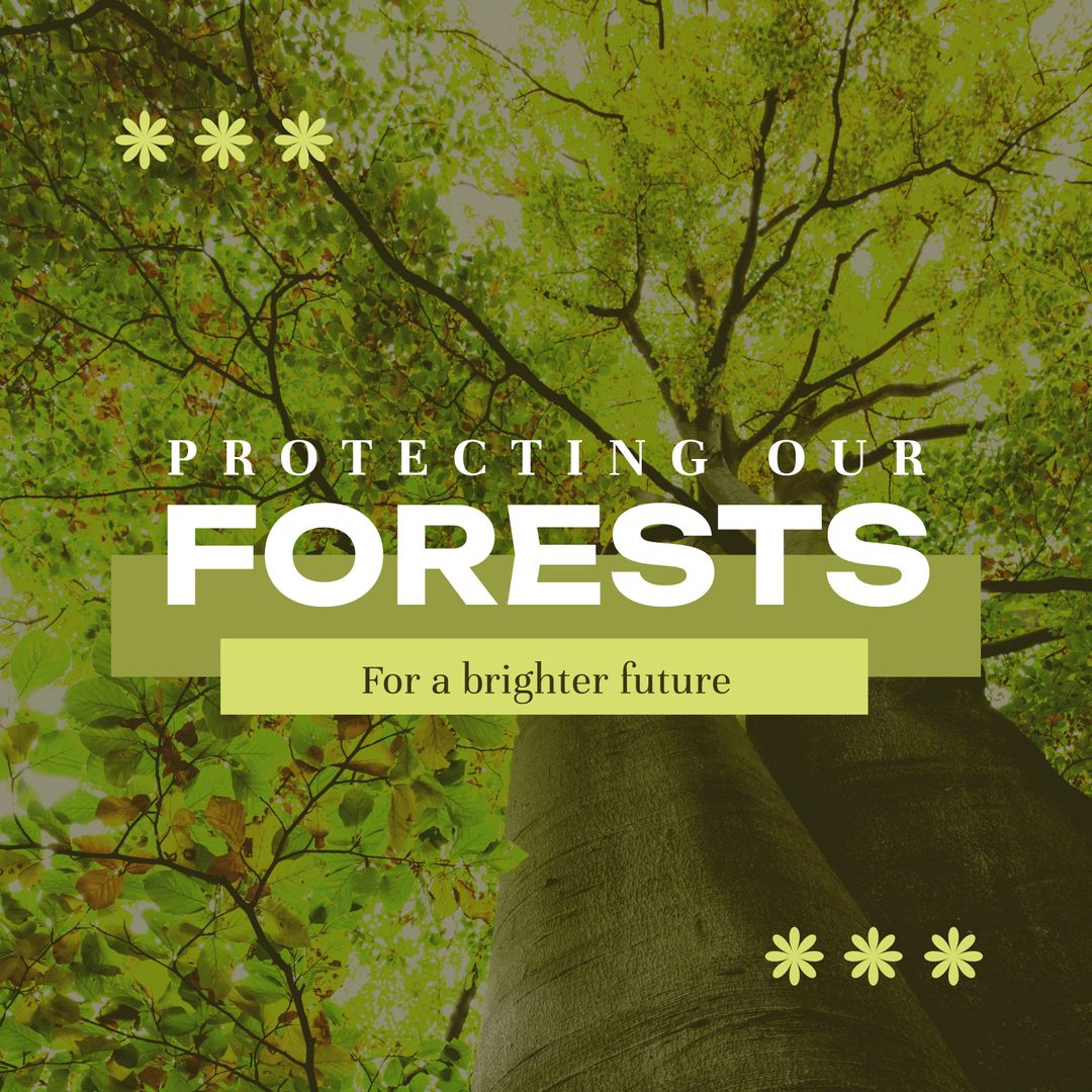 Protecting Forests for Sustainable Future Nature Conservation