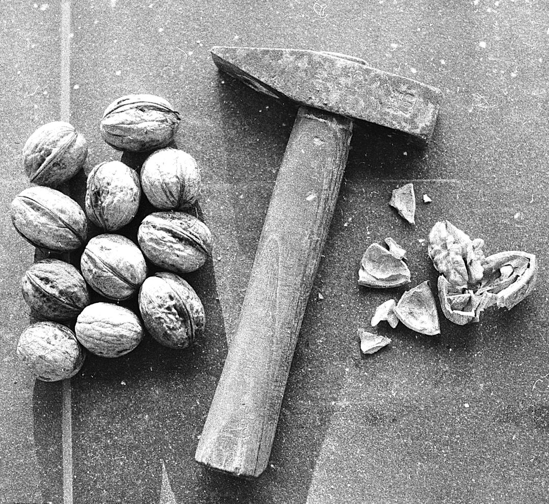 Close-up of Hammer and Cracked Walnuts on Rustic Surface - Free Images, Stock Photos and Pictures on Pikwizard.com