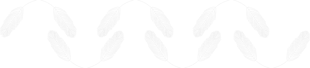 Abstract Black Organic Shapes on Transparent Background