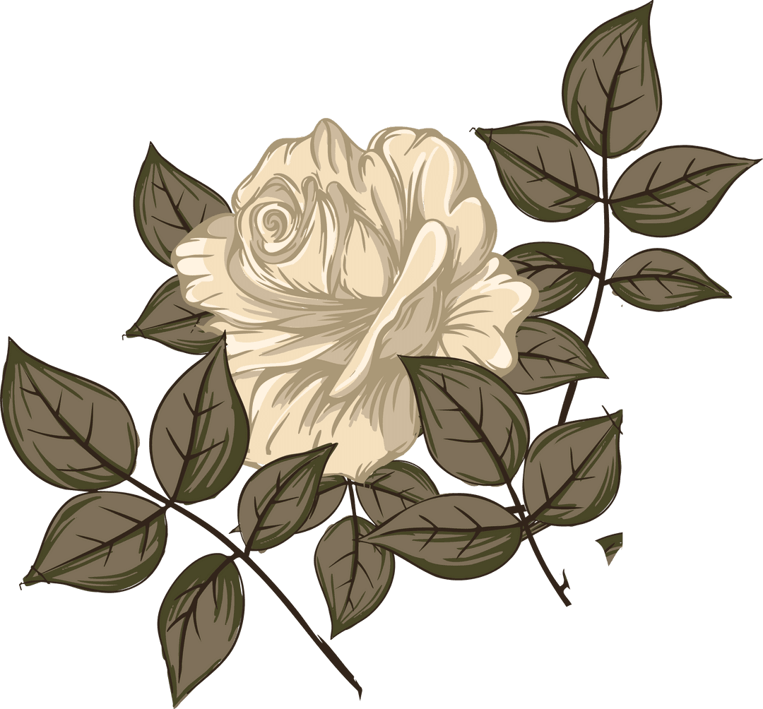 Elegant Cream Rose with Leaves on Transparent Background