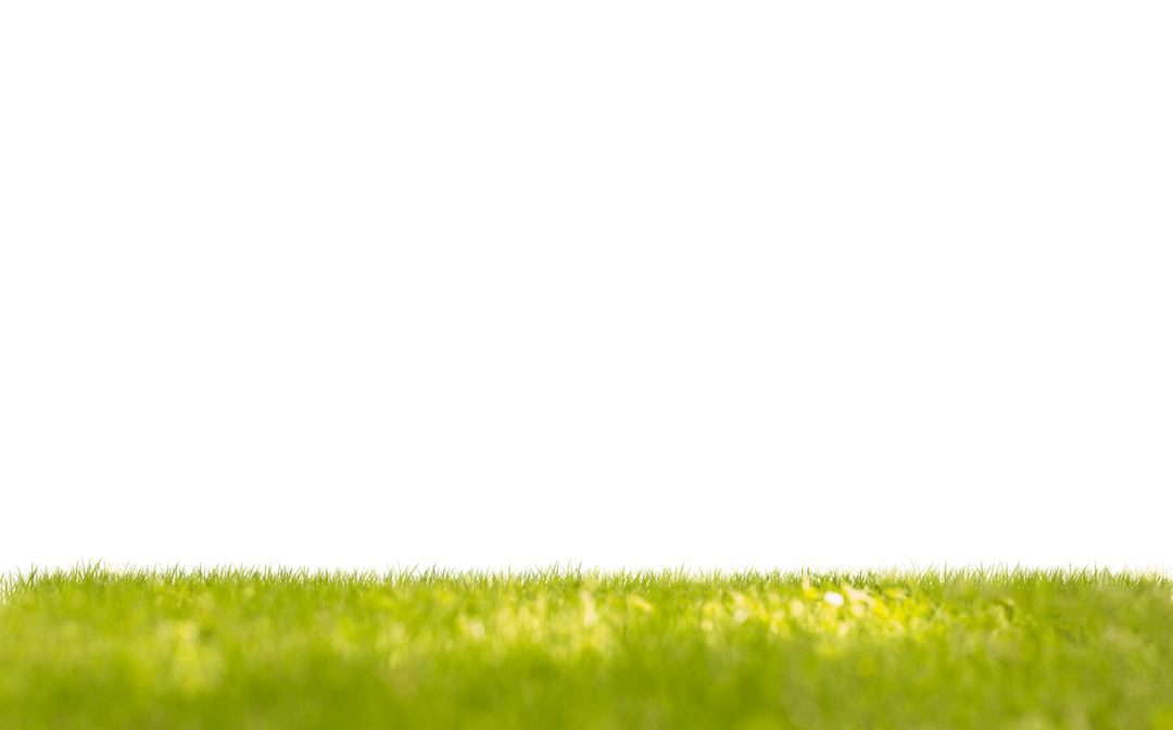 Bright Green Grass on Transparent Background