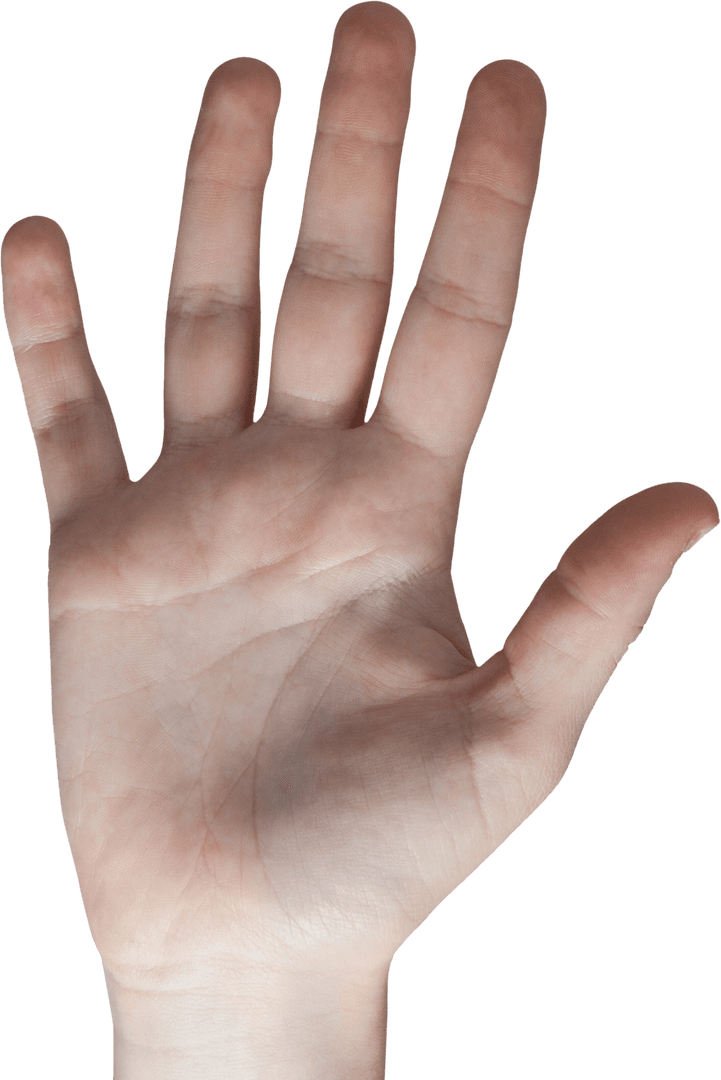 Transparent Hand Raising Palm Out Emphasizing Gesture