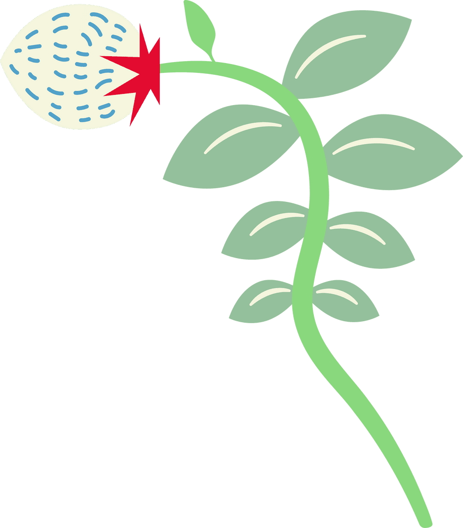 Transparent Vine Illustration Featuring Leaves and Bud on Curved Stem