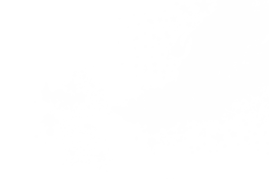 Abstract Black and White Pattern on Transparent Background