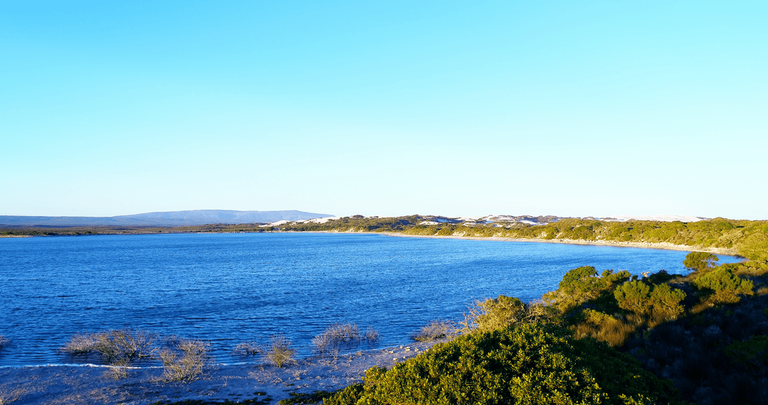 Tranquil Blue Sea with Clear Sky Creating Transparent Atmosphere