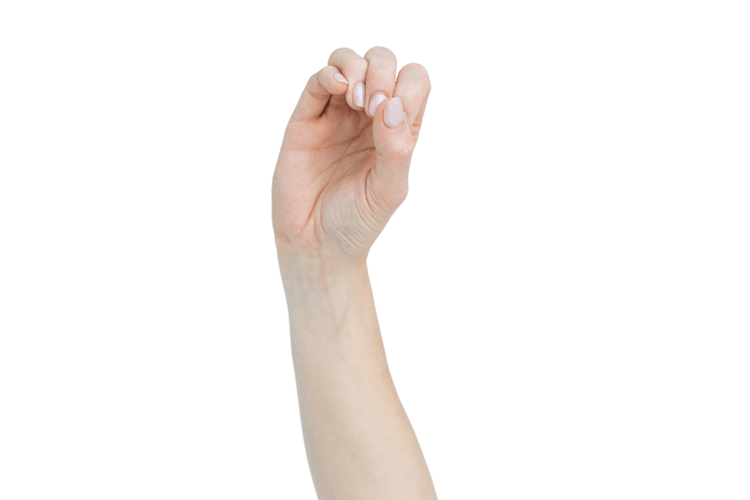 Caucasian Hand Gesturing on Transparent Background