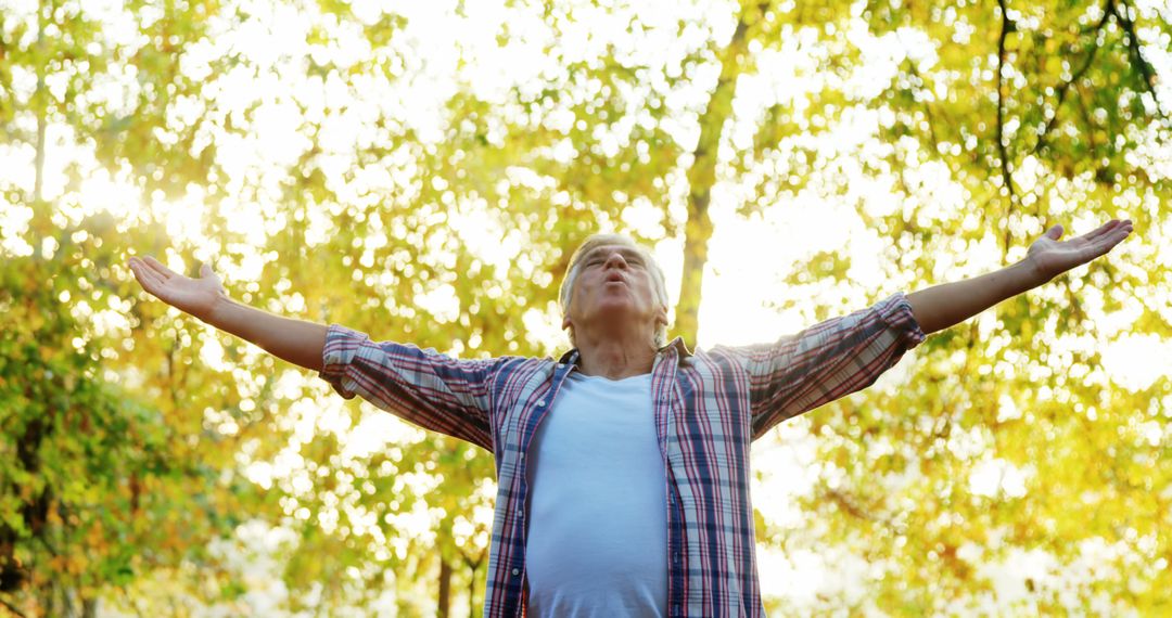 Senior Man Embracing Nature with Open Arms in Sunlit Forest - Free Images, Stock Photos and Pictures on Pikwizard.com