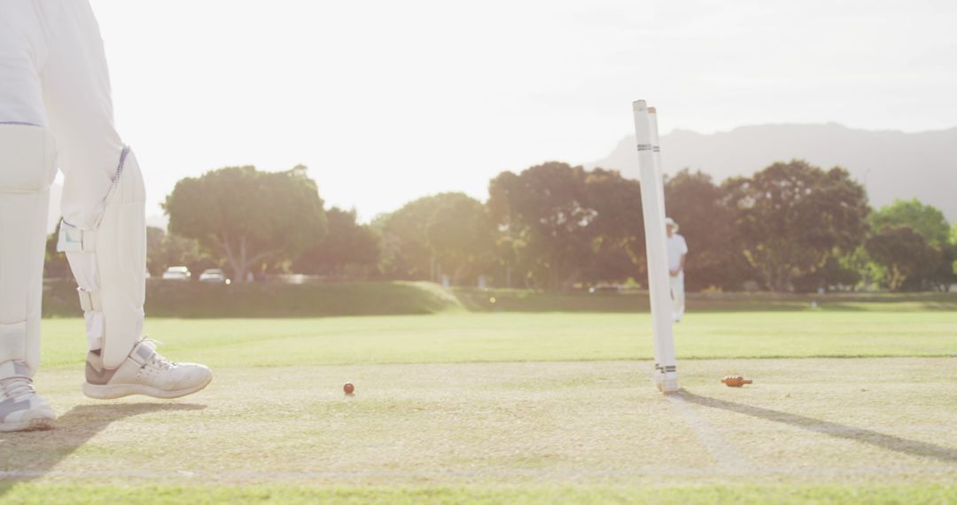 Cricket Player Knocking Over Stumps in Sunlit Field - Free Images, Stock Photos and Pictures on Pikwizard.com