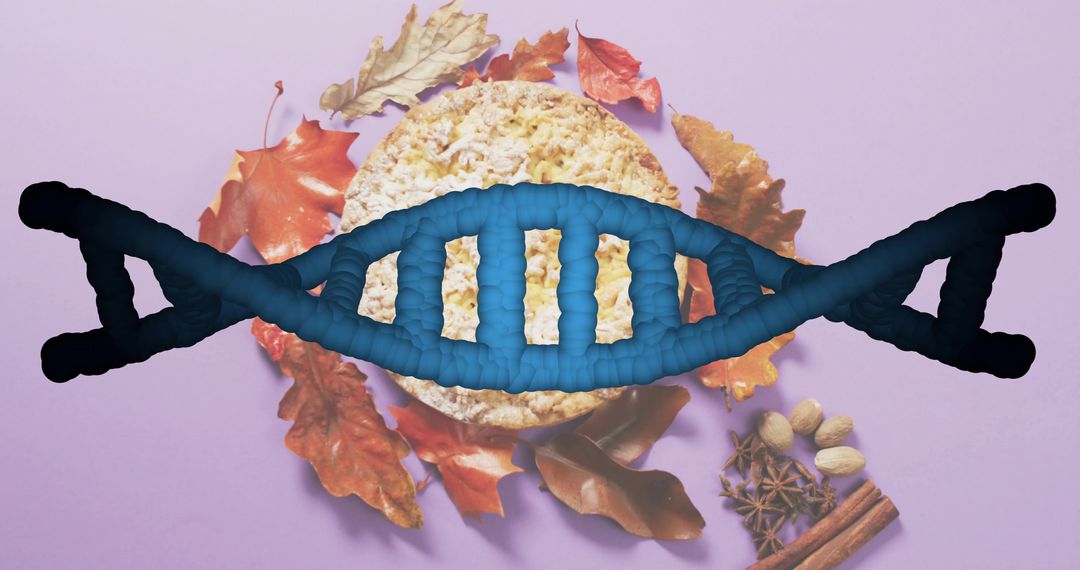 Conceptual DNA helix overlaying rice cake with autumn leaves and spices on lavender backdrop