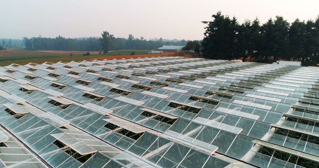 Aerial View of Industrial Greenhouses in Rural Area - Free Images, Stock Photos and Pictures on Pikwizard.com