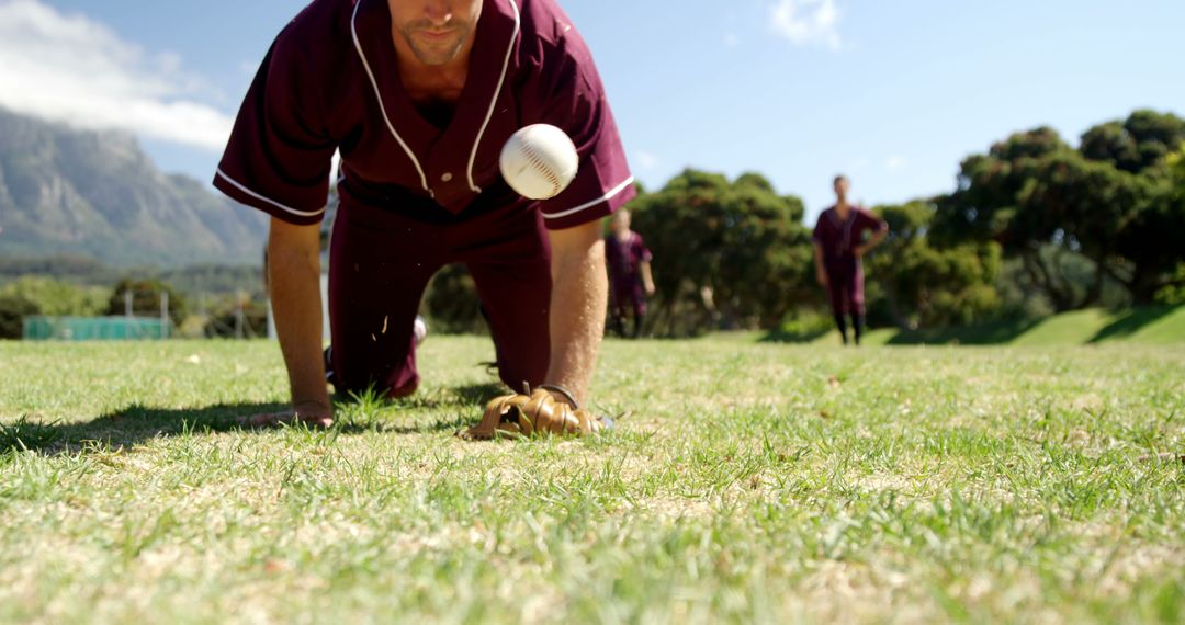 Cricket Player Catching Ball During Game on Field - Free Images, Stock Photos and Pictures on Pikwizard.com