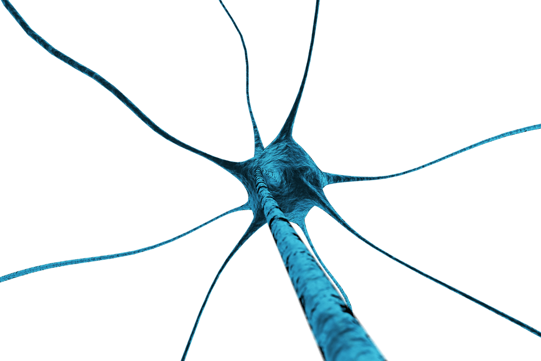 Illustration of Blue Neuron on Transparent Background