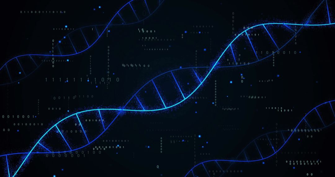 Digital dna strand representation with binary coding