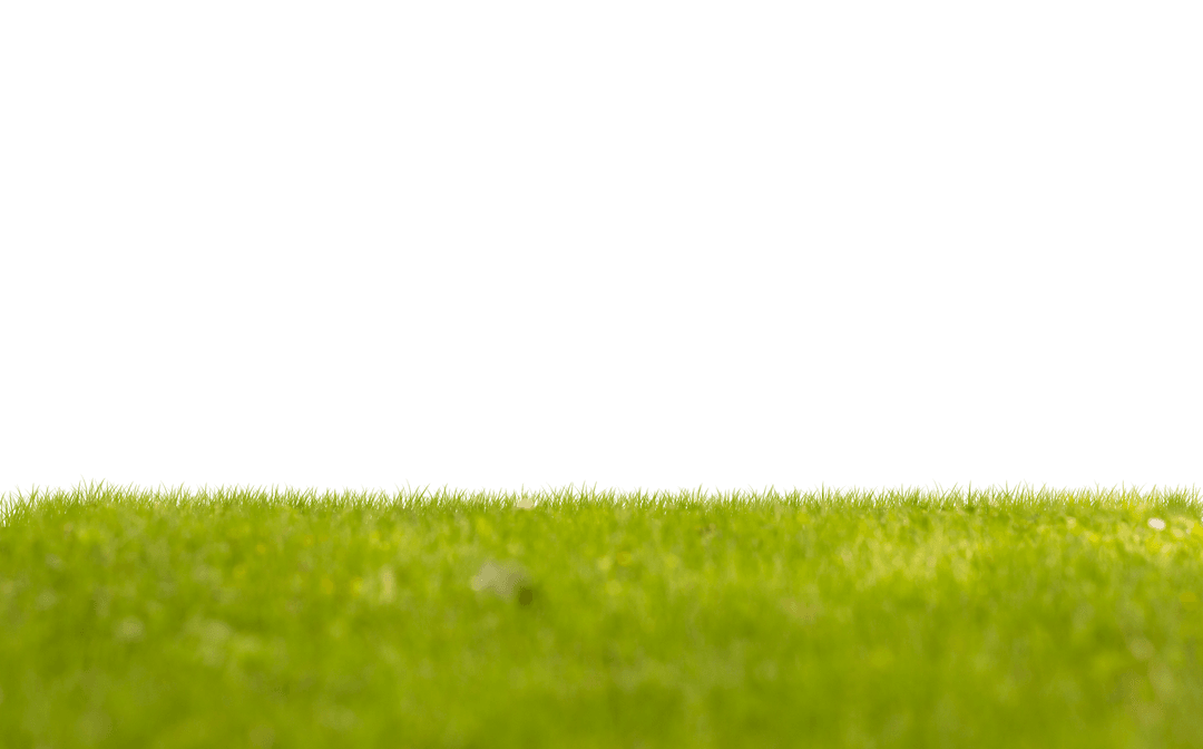 Lush Green Grass with Copy Space on Transparent Background