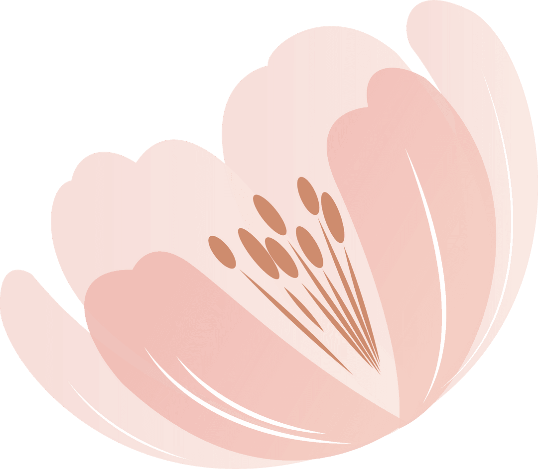 Delicate Pink Blossom with Transparent Background
