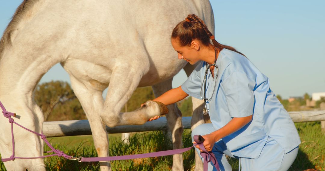 Veterinarian Examining Horse's Hoof Outdoors - Free Images, Stock Photos and Pictures on Pikwizard.com