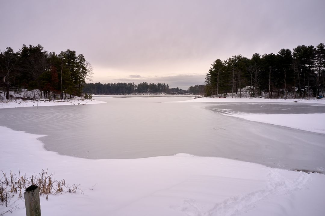 Winter Frozen Lake at Dusk with Snow-Covered Shoreline and Pine Tree Silhouettes
