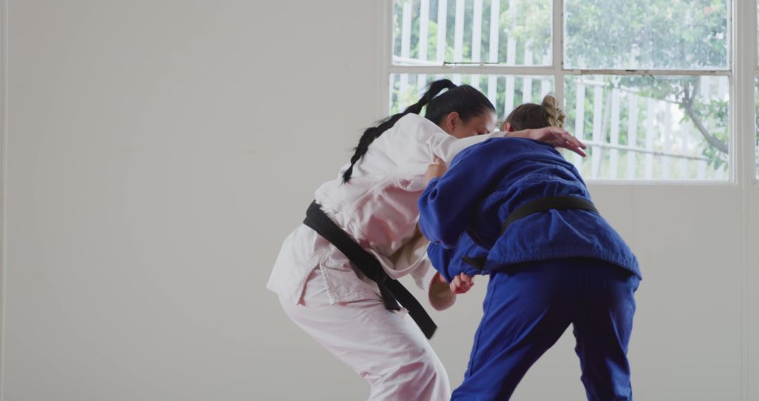 Female Martial Artists In Intense Training Session Displaying Judo Techniques - Free Images, Stock Photos and Pictures on Pikwizard.com