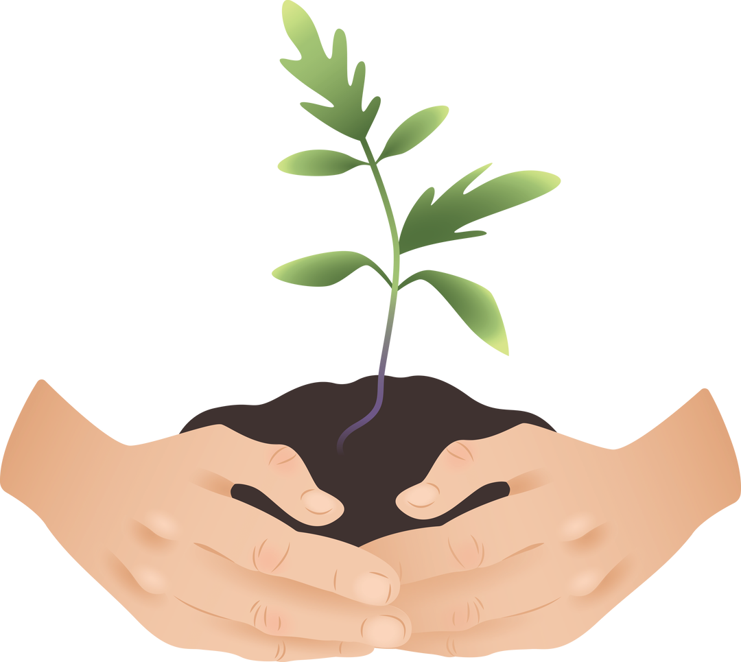 Hands Holding Seedling in Soil Illustration on Transparent Background for Environmental Conservation - Download Free Stock Images Pikwizard.com