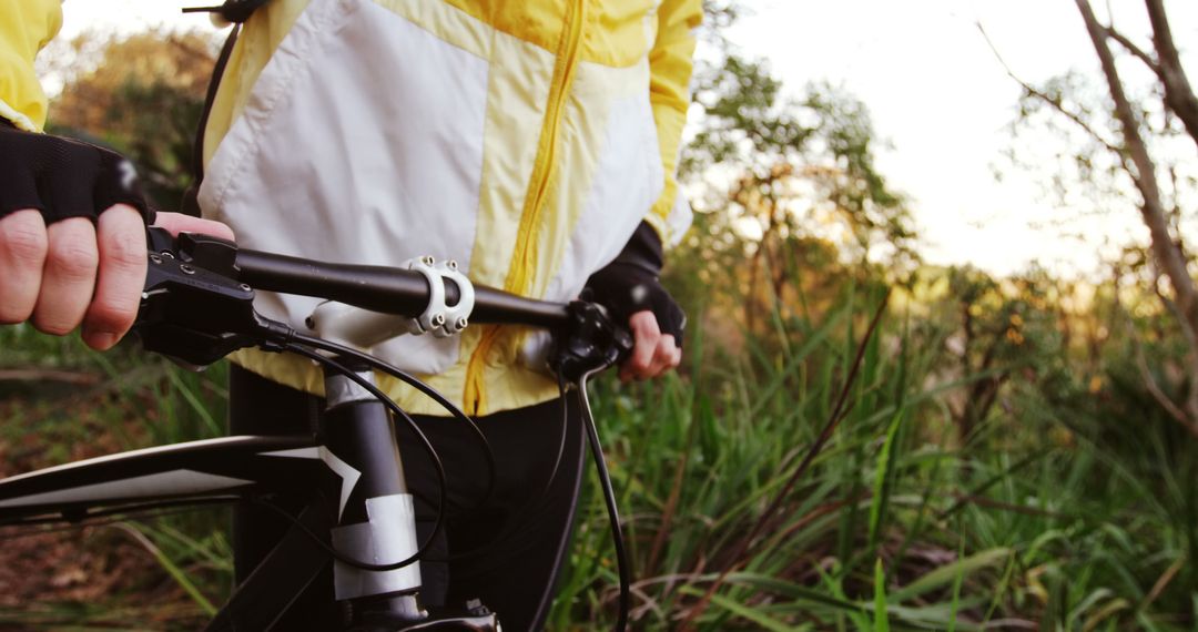 Person Holding Handlebars of Mountain Bike in Forest - Free Images, Stock Photos and Pictures on Pikwizard.com