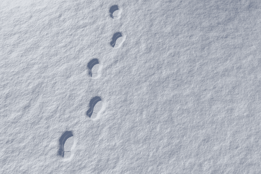 Footprints in Pristine Snow Showing Transparent Human Path