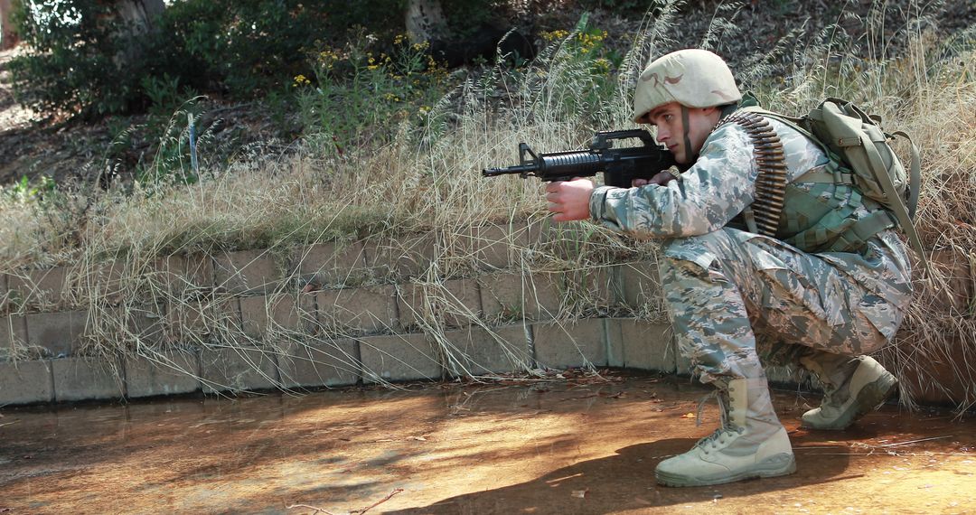 Soldier Hiding and Aiming in Natural Environment Forest - Free Images, Stock Photos and Pictures on Pikwizard.com