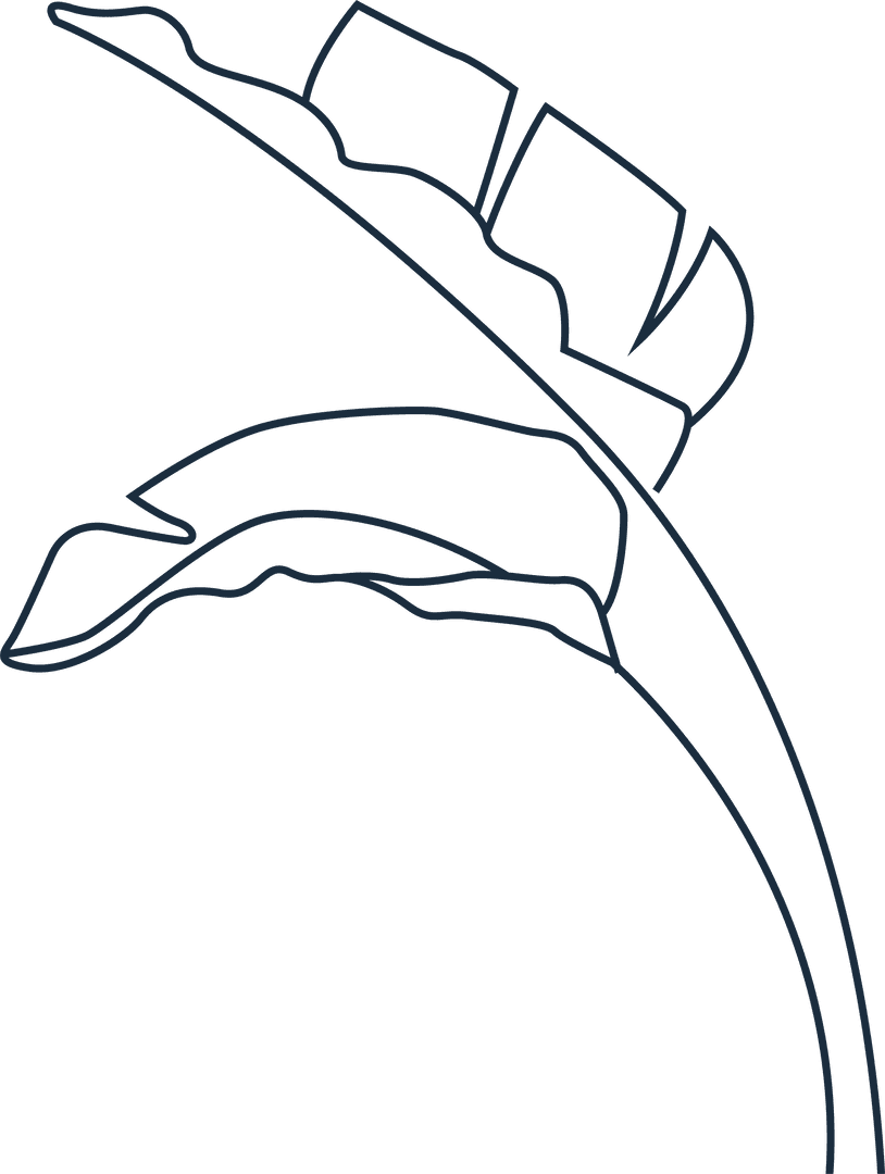 Abstract Curved Branch with Geometric Leaves on Transparent Background